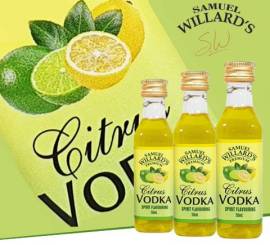 Citrus Vodka - Premium Samuel Willards 50ml 1