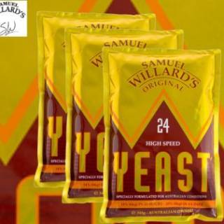 Yeasts - 24hr (Willards)