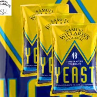 Yeasts - 48hr (Willards)